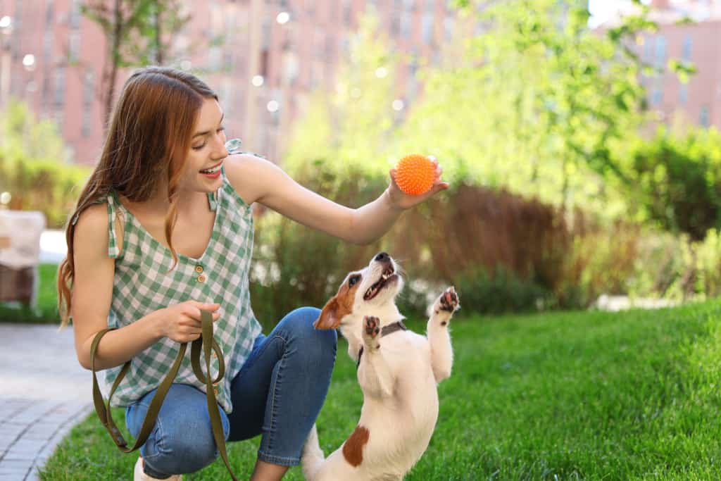 A schedule for your puppy A schedule for your puppy